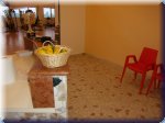 pa180007.jpg